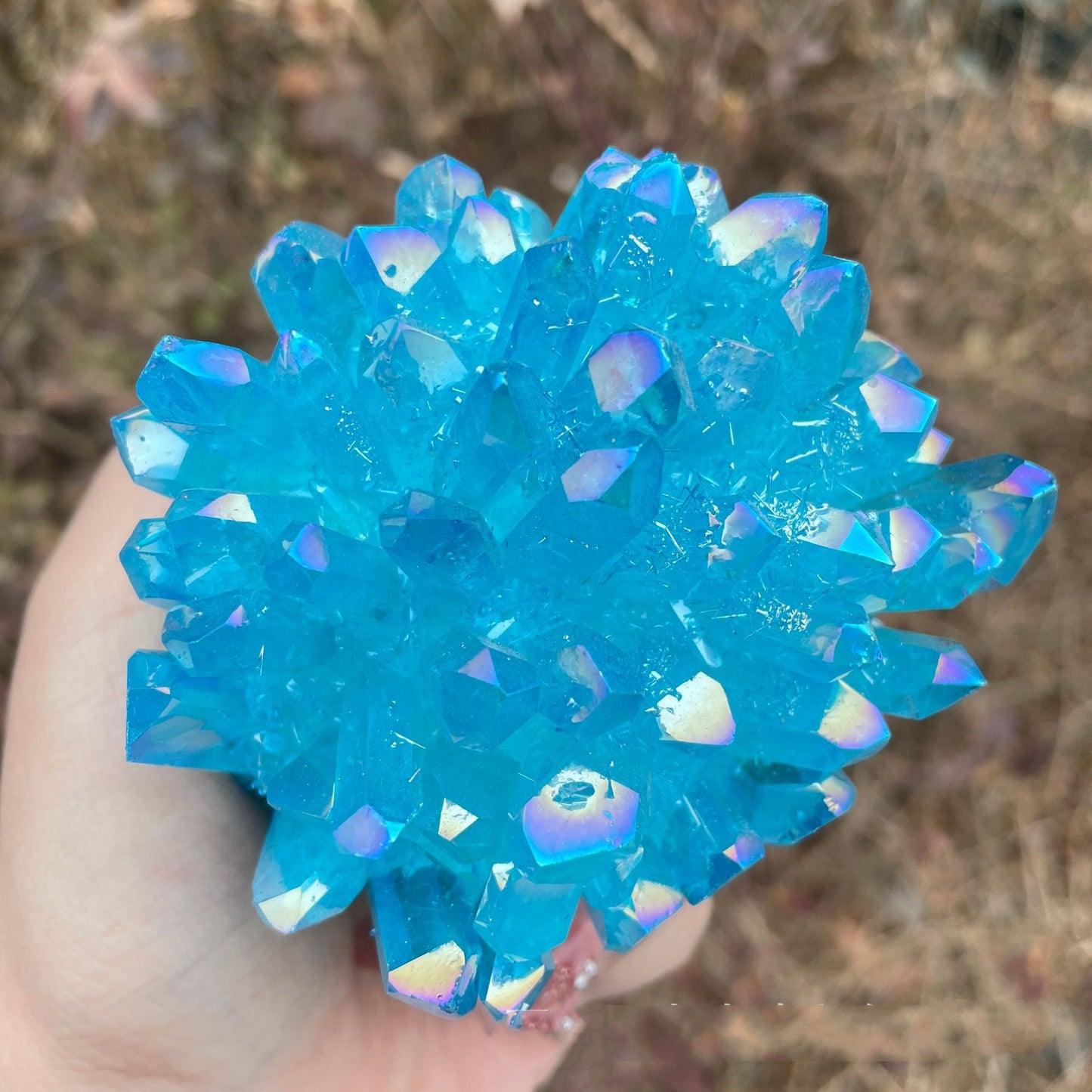 ornament