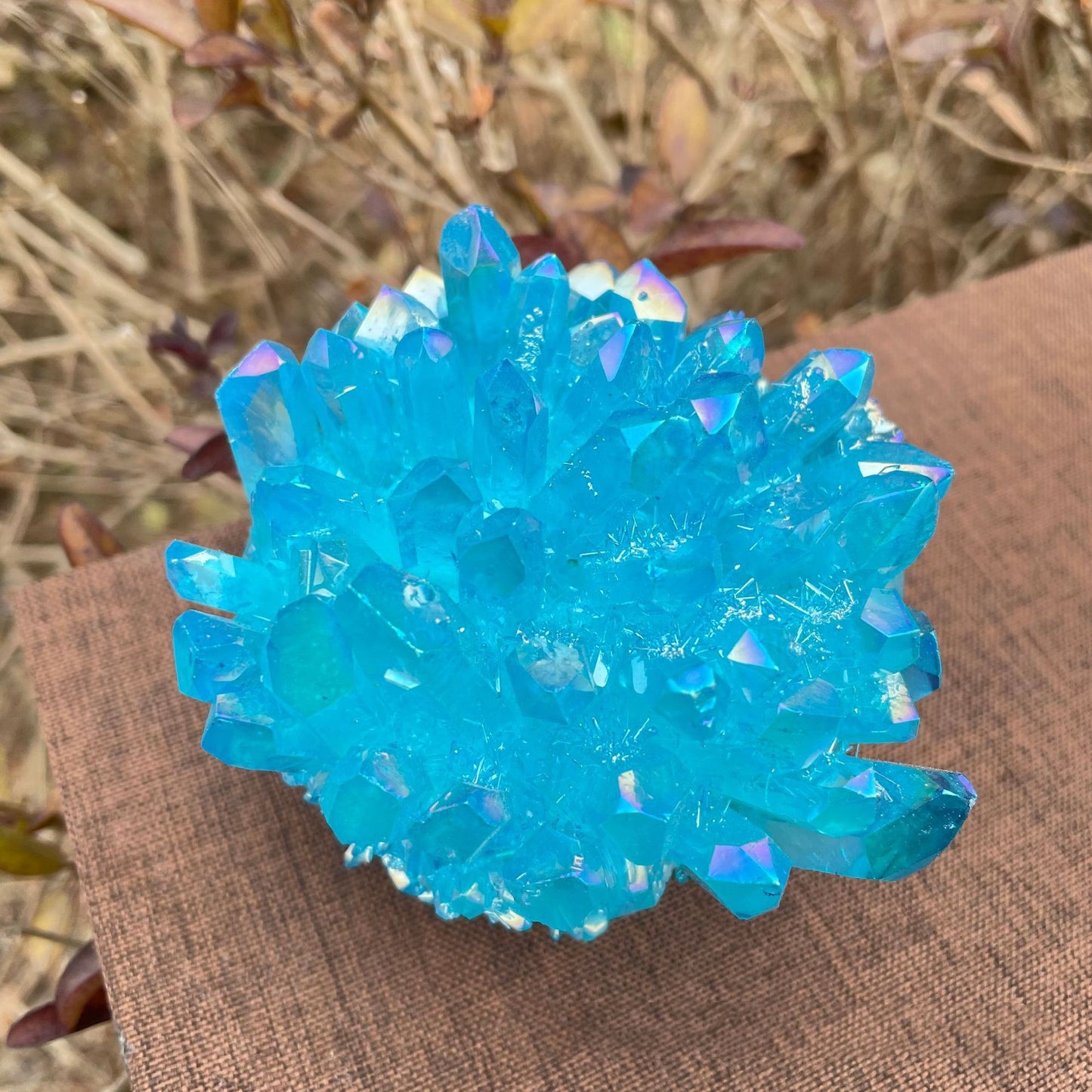 ornament